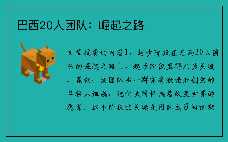 巴西20人团队：崛起之路