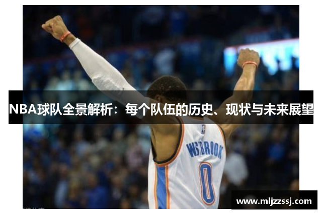 NBA球队全景解析：每个队伍的历史、现状与未来展望